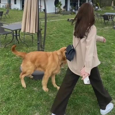 女真珠王