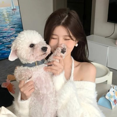 神探特伦特第三季